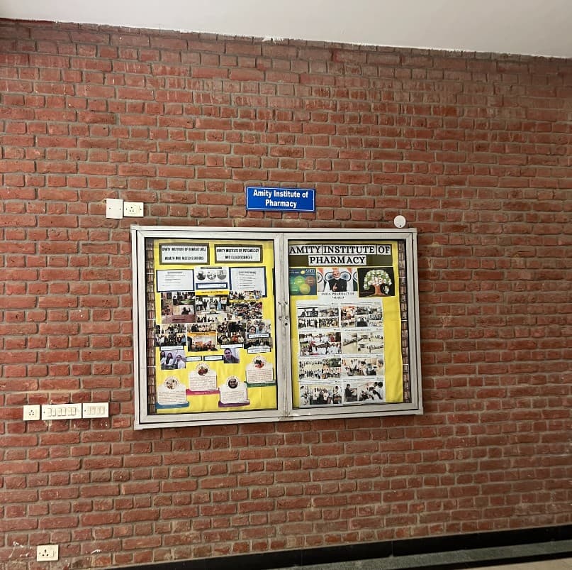 Amity University Greater Noida Campus photo 9